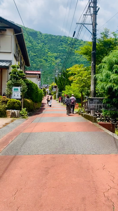 寸又峡の写真・動画_video_10072