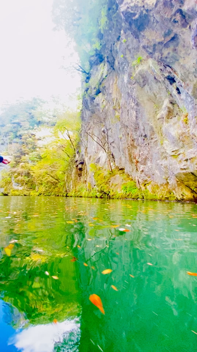 猊鼻渓舟下りの写真・動画_video_10126