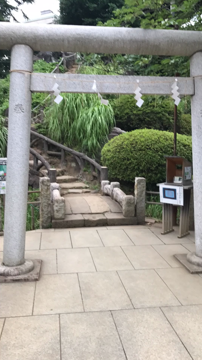 タイムラプス