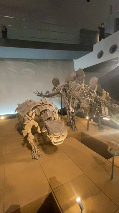 福井県立恐竜博物館の写真・動画_video_10886