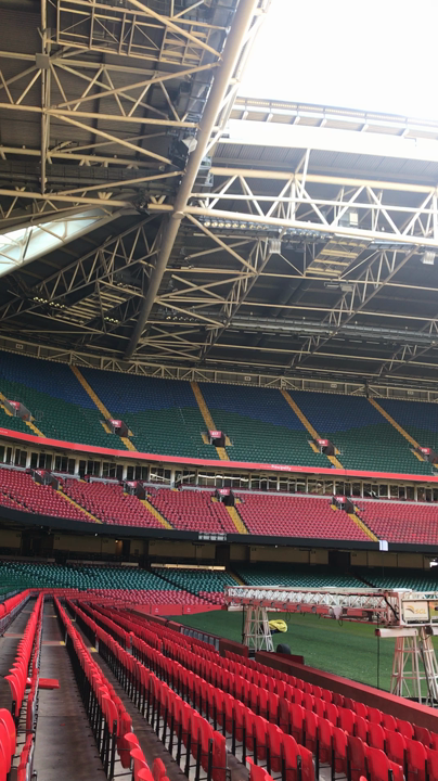 ピッチレベルでの全景