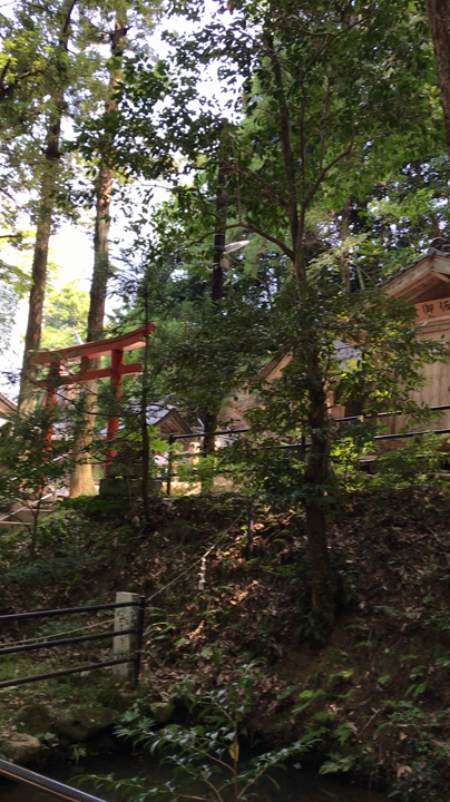 玉作湯神社の写真・動画_video_1266