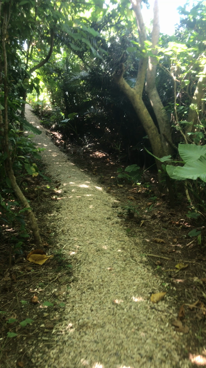 ユサンディの写真・動画_video_1305