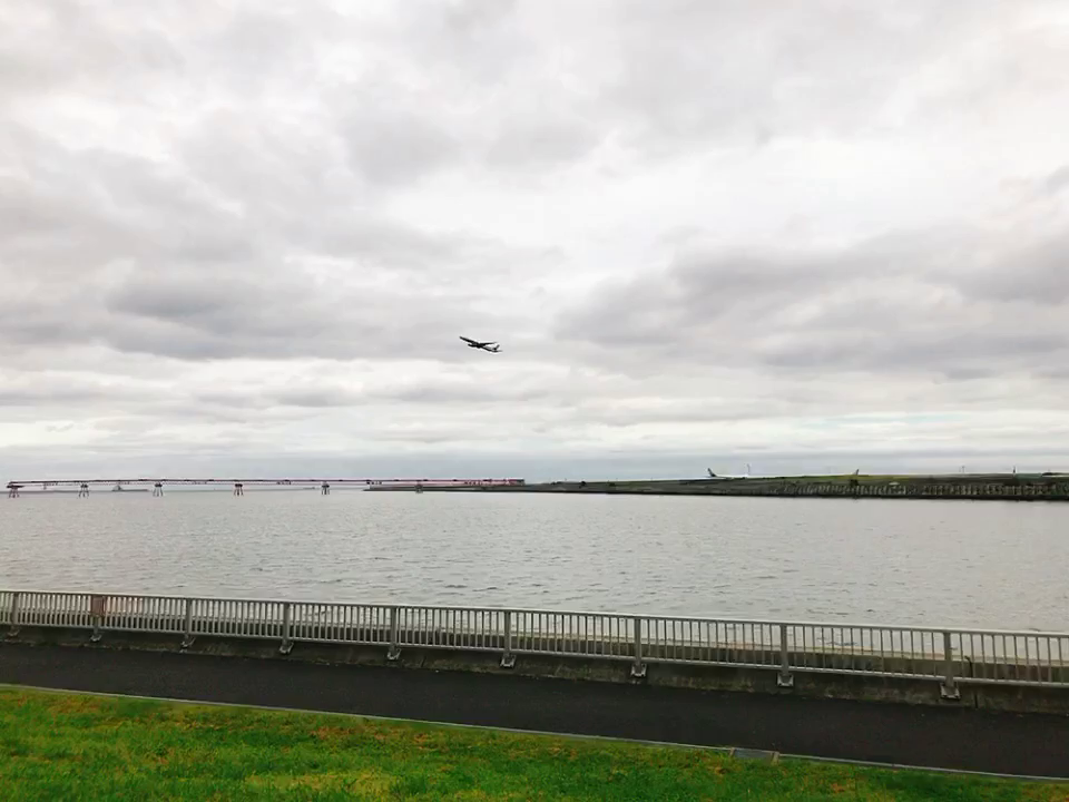 京浜島つばさ公園の写真・動画_video_1339