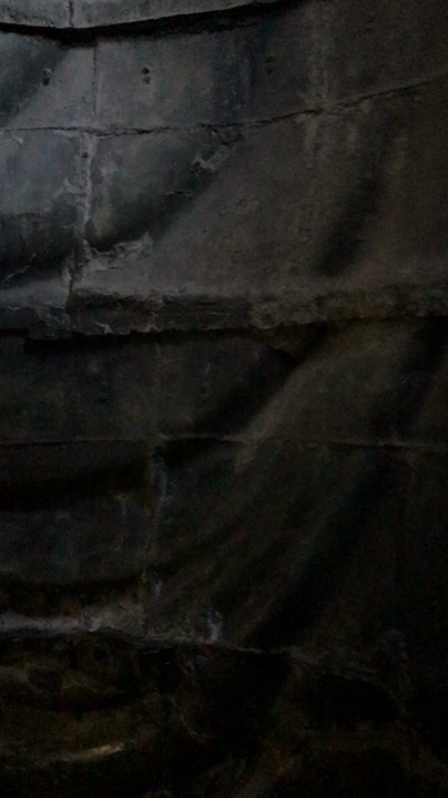 鎌倉大仏（高徳院）の写真・動画_video_1405