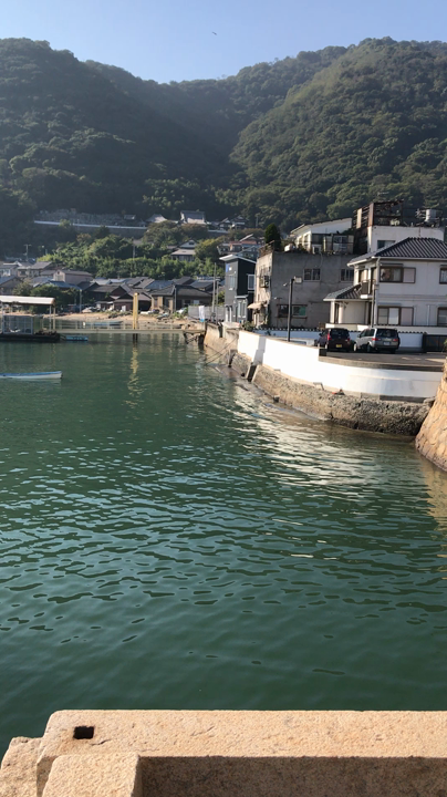 一周