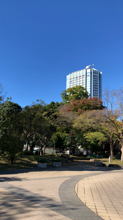 芝生広場