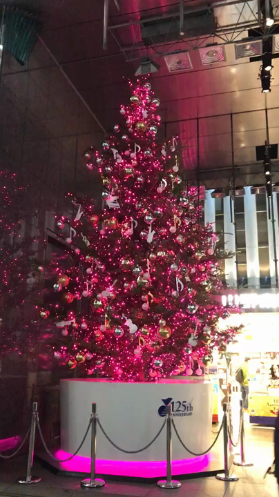 山野楽器の入り口にある大きなツリー🎄