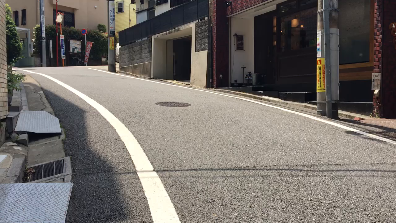 登ってみたよ、地蔵坂2