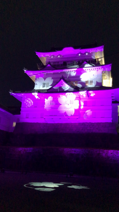 桜が城に舞い散ります🏯