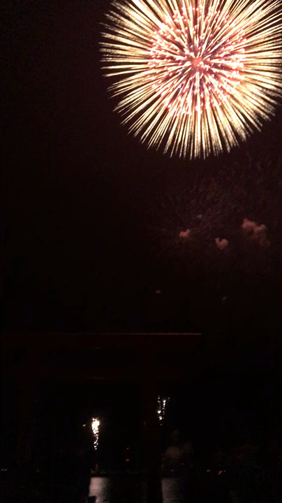 動画もどうぞ！