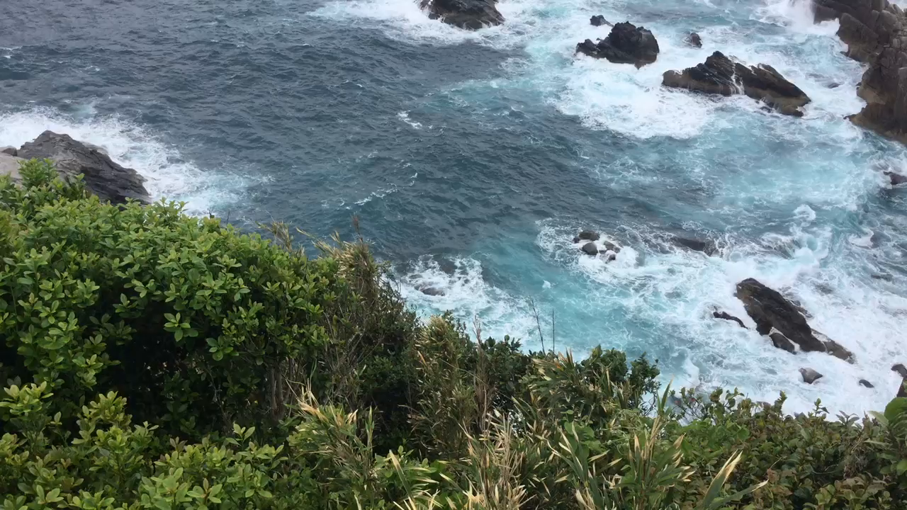 ジョン万次郎銅像の写真・動画_video_1825