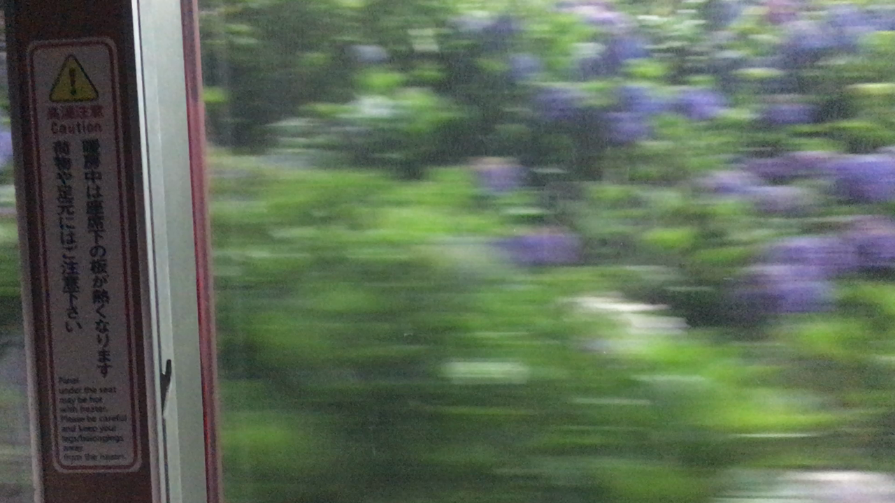 あじさい電車の写真・動画_video_1913