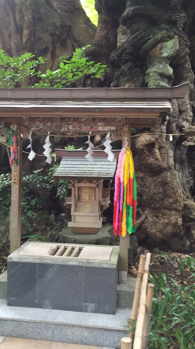 ひと回り