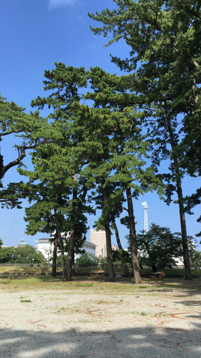 敷地内を散策