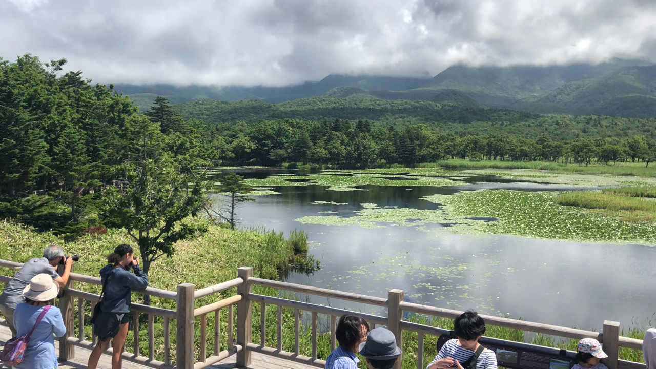 高架木道からの一湖