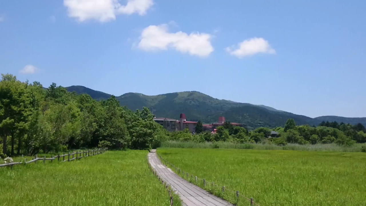 箱根湿生花園の写真・動画_video_2241