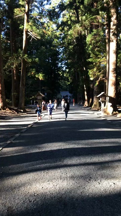 小國神社の写真・動画_video_2269
