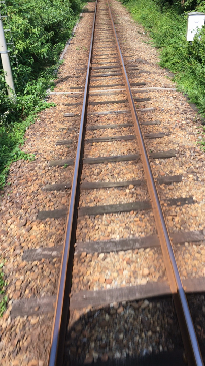 長良川鉄道