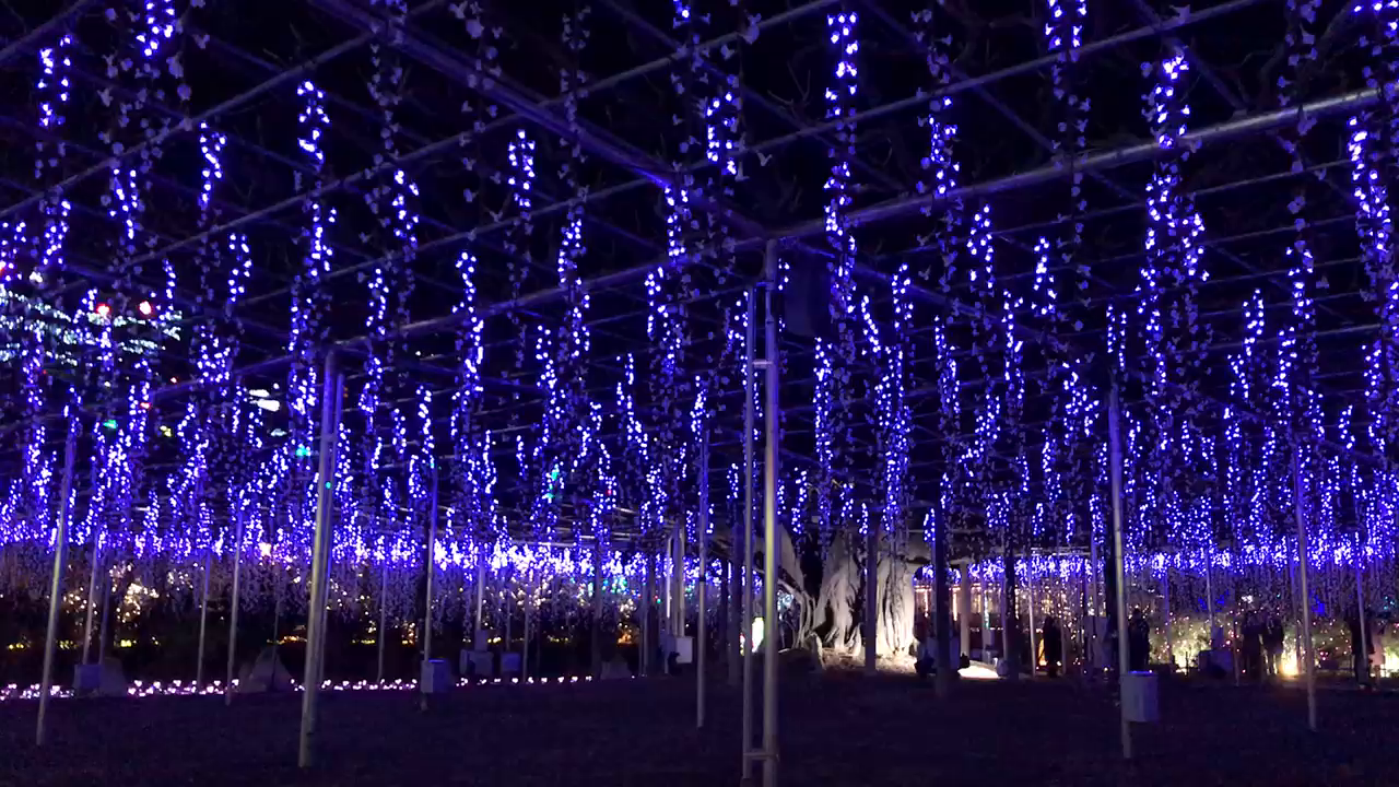 あしかがフラワーパークの写真・動画_video_2707