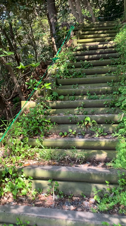 大峰山の写真・動画_video_2827