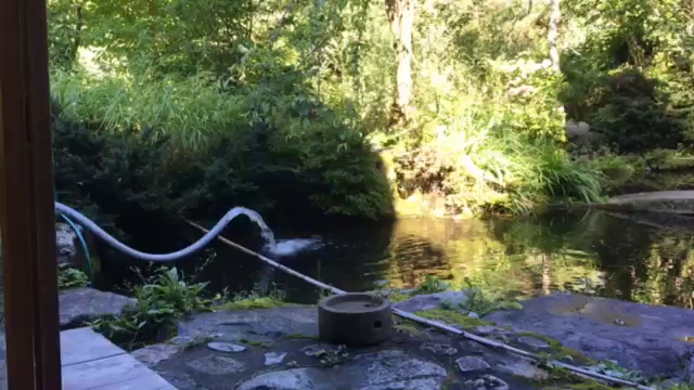 お食事処ます園文助の写真・動画_video_289