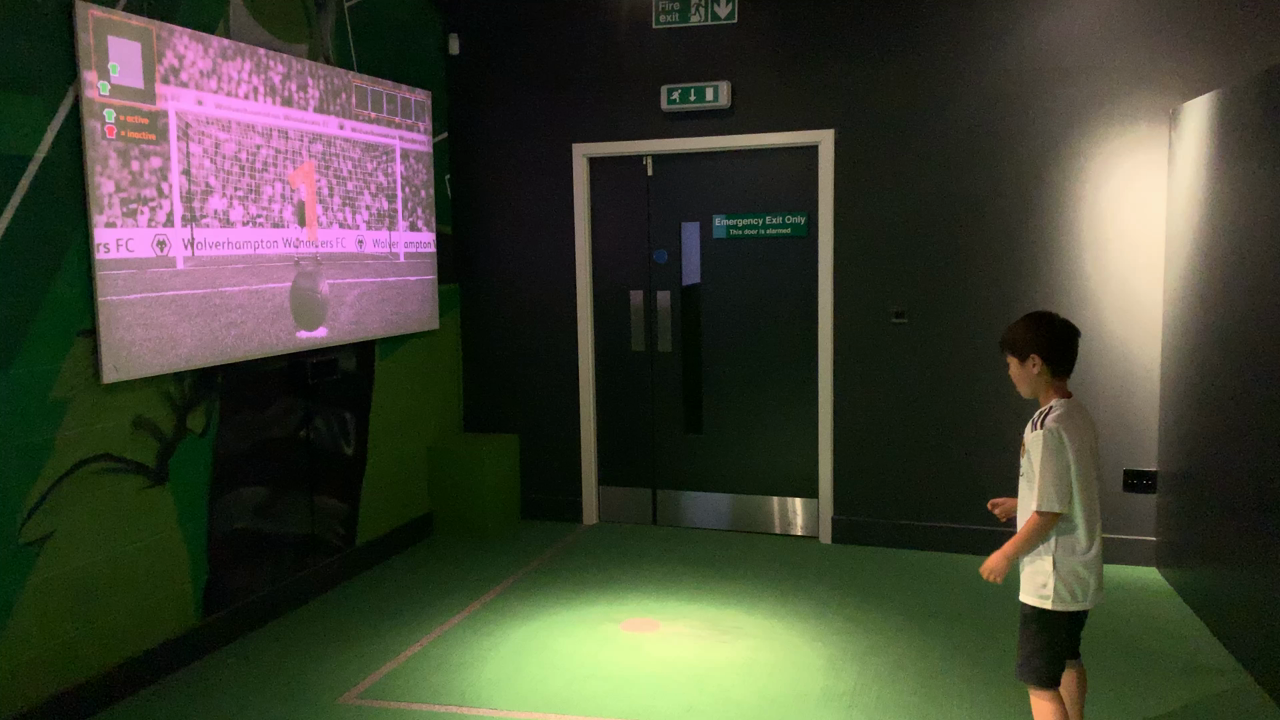Wolves Museumの写真・動画_video_3152