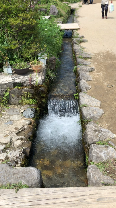 湧き水