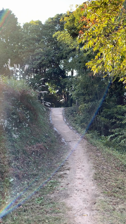 月山富田城跡