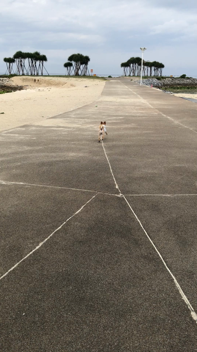 ｪﾒﾗﾙﾄﾞﾋﾞｰﾁで つぃに ﾘｰﾄﾞ無しにっ!!