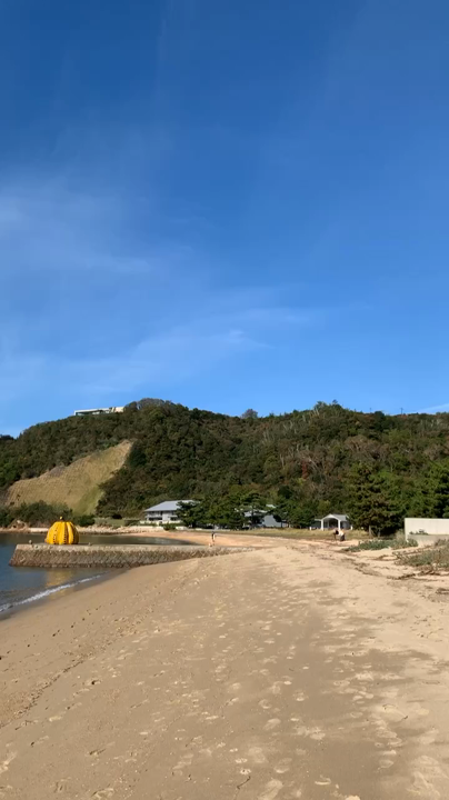 草間彌生「南瓜」の写真・動画_video_3995