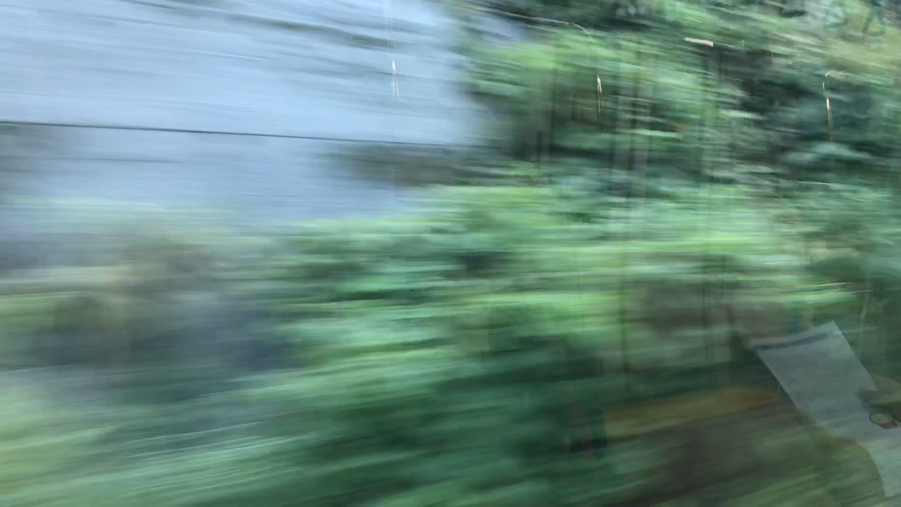 一応、熱海からは