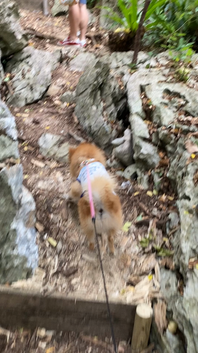 散策道は だぃたぃんな感じ