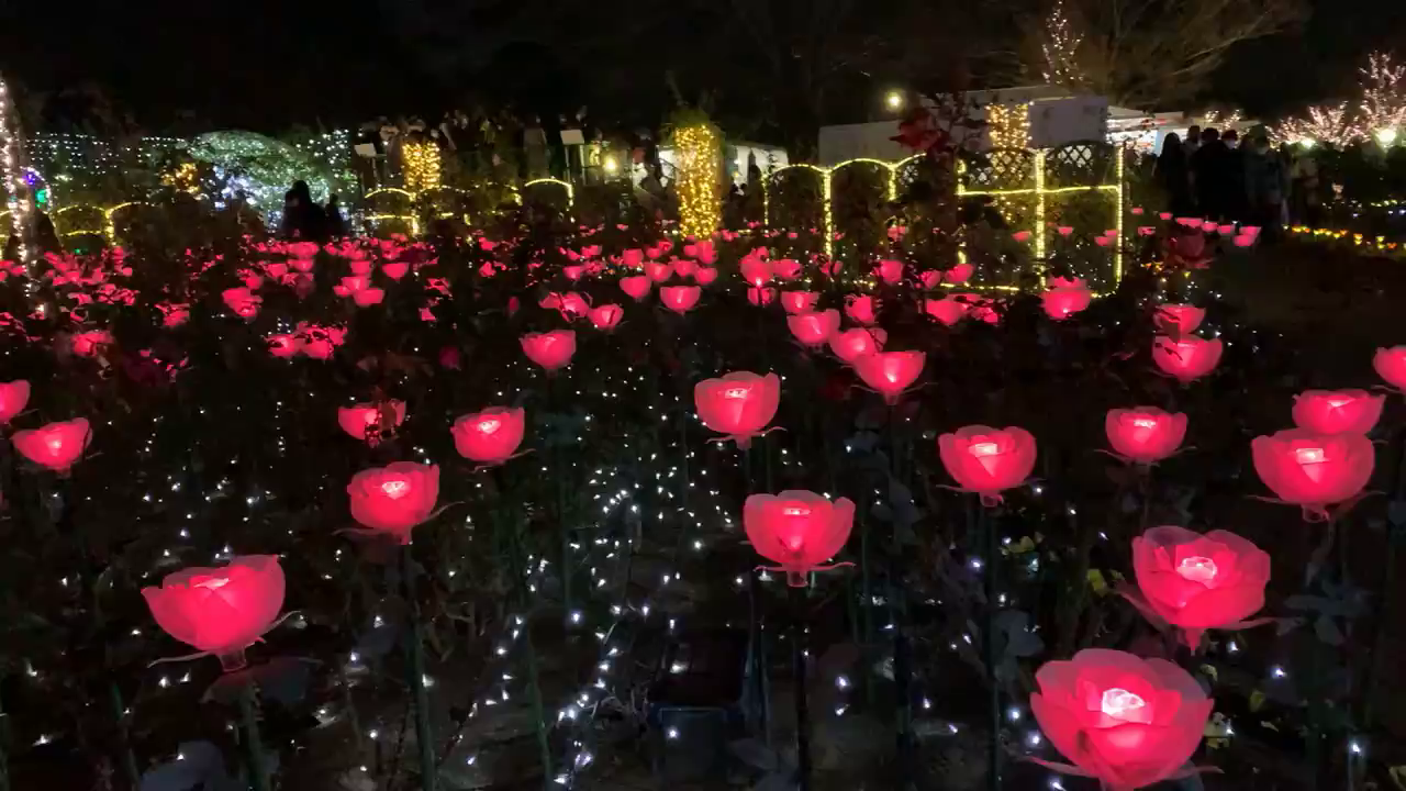 あしかがフラワーパークの写真・動画_video_4845