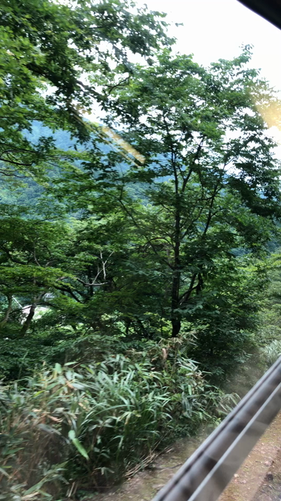 車窓からの眺め