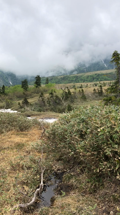 弥陀ヶ原の全景