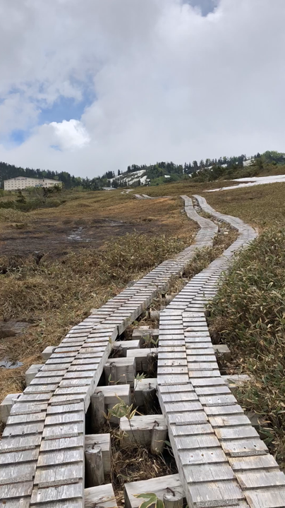 湿原をウォーキング🚶‍♂️