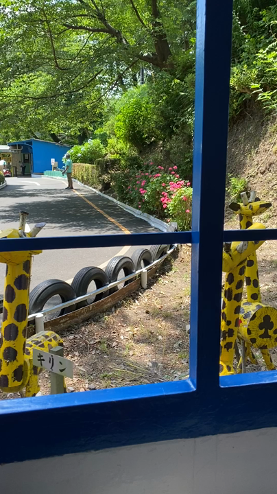 豆汽車の車窓から。