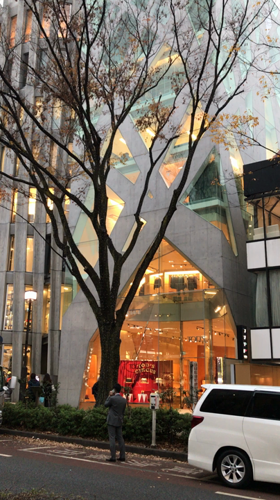 全景
