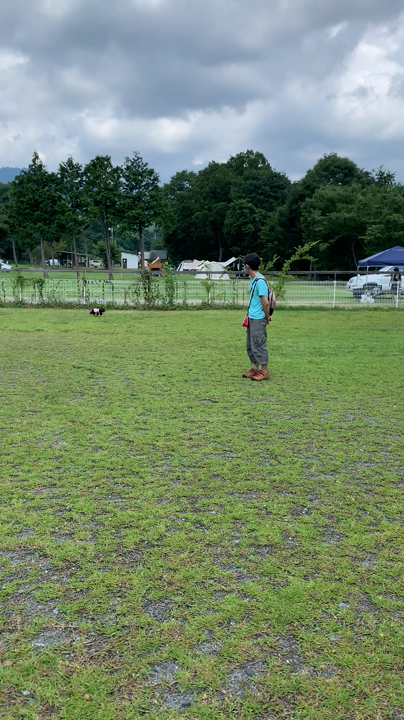 ドッグラン