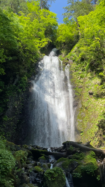 回顧の滝
