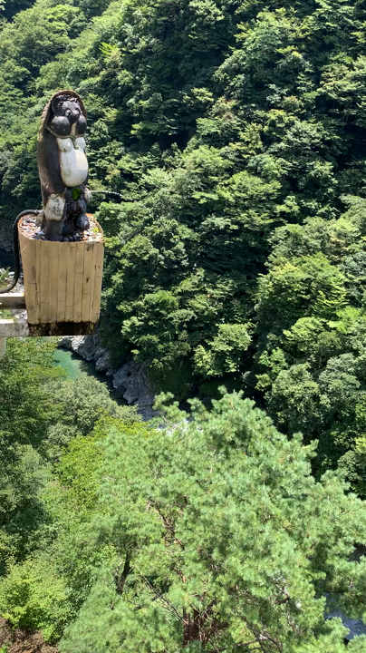 そば 祖谷美人の写真・動画_video_5747