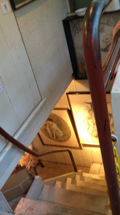 カフェ・ドゥ・リエーヴル うさぎ館 （cafe du lievre）の写真・動画_video_579