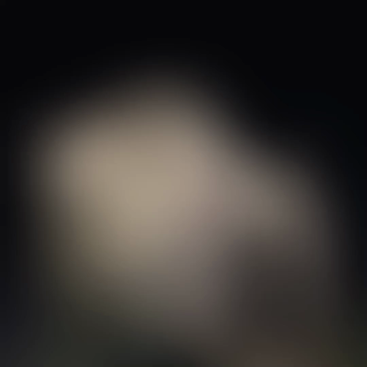 神戸ポートタワーの写真・動画_video_587