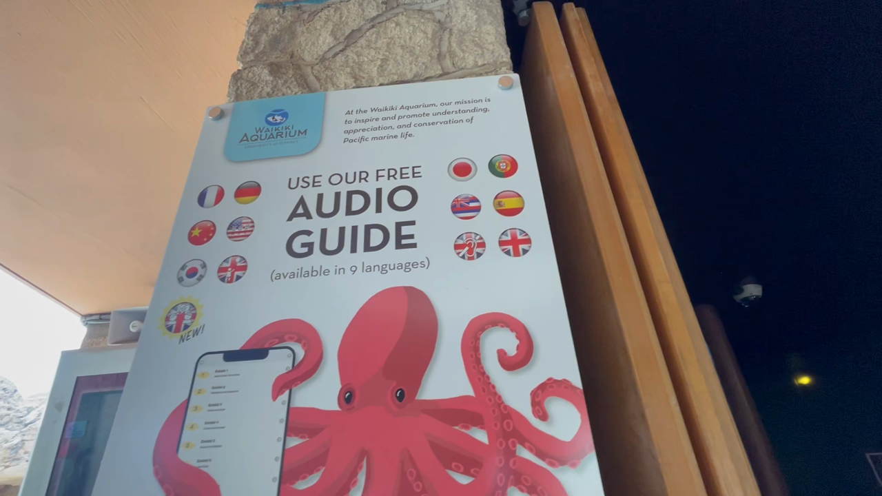 ワイキキ水族館の写真・動画_video_6008