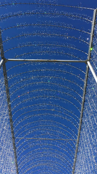 キラキラ