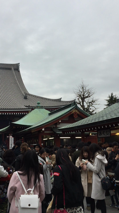 初詣は