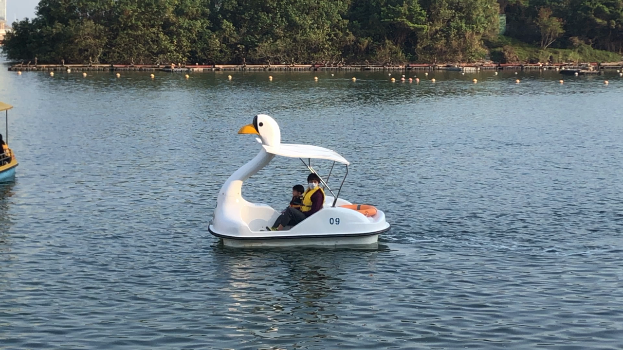 アニムアルテ南湾