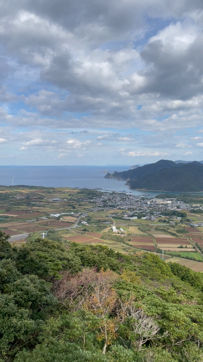 展望台から望む大パノラマ