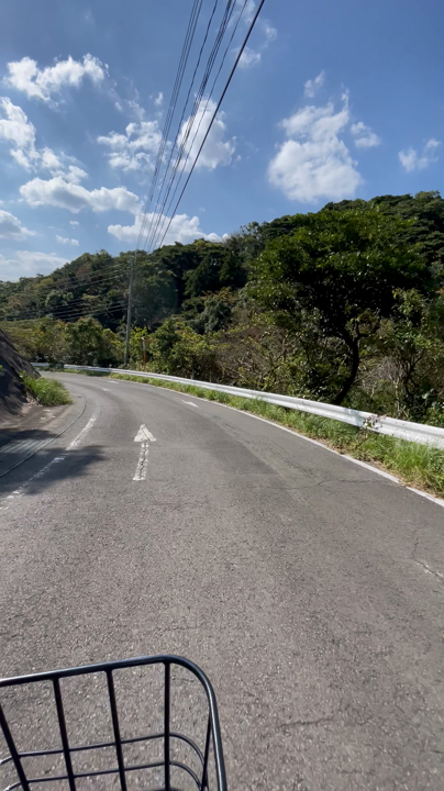 ダウンヒル🚴‍♀️